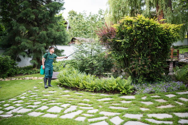 Best Mosquito Control Services  in Republic, MO