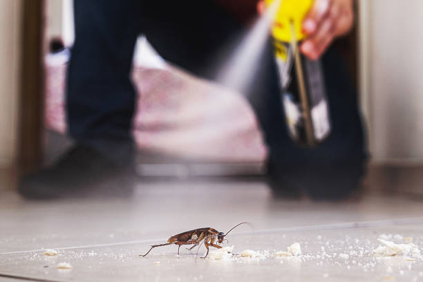 Best Cockroach Control Services  in Republic, MO